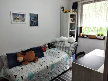 Dom  Rosocha-Kolonia , 10 ar działka, gm. Golina, pow. Konin