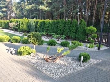 Dom  Rosocha-Kolonia , 10 ar działka, gm. Golina, pow. Konin