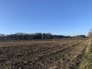 Na sprzedaż działki budowlane POWIERCIE k. KOŁA