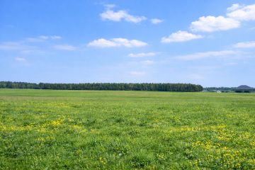 2 działki budowlane na sprzedaż - Budki Stare gm. Osiek Mały