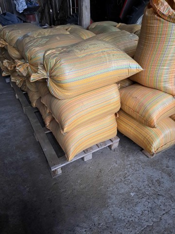 Sprzedam nasiona wiesiołka