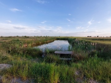 Działka z WZ Piorun&oacute;w, gm. Władysław&oacute;w, powiat turecki