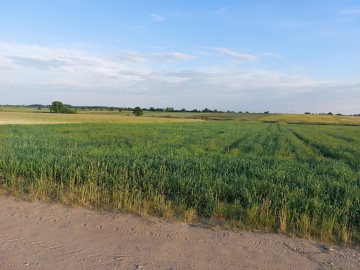 Działka z WZ Piorun&oacute;w, gm. Władysław&oacute;w, powiat turecki