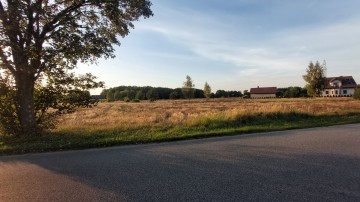 Działka Rosocha- Kolonia 13,5 ar