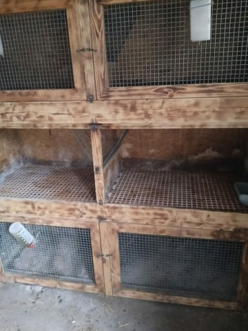 Klatka dla kr&oacute;lik&oacute;w