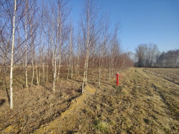 Sprzedam dużą działkę z WZ na 2 budynki mieszkalne