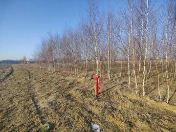 Sprzedam dużą działkę z WZ na 2 budynki mieszkalne