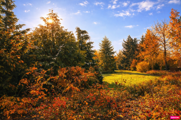 Dom w Kłodawie na sprzedaż