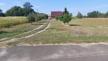 Dom, budynki gospodarcze + 6ha, Babiak, Krukowo