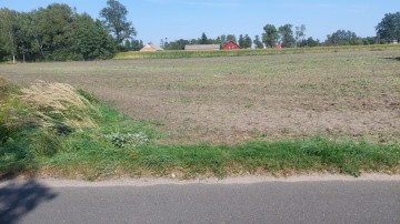 Dom, budynki gospodarcze + 6ha, Babiak, Krukowo