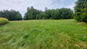 Dom, budynki gospodarcze + 6ha, Babiak, Krukowo