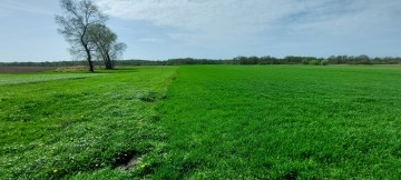 Gospodarstwo 5,72 ha G&oacute;raj gm. Babiak