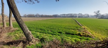 Działka 1,27 ha Słupca, Marcewek