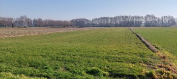 Działka 1,27 ha Słupca, Marcewek