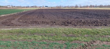 Grunt rolny 4,34 ha Brudzew, Cich&oacute;w