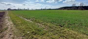 Grunt rolny 4,34 ha Brudzew, Cich&oacute;w