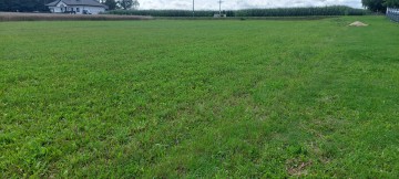 Działka budowlana Osiek Wielki, Koło