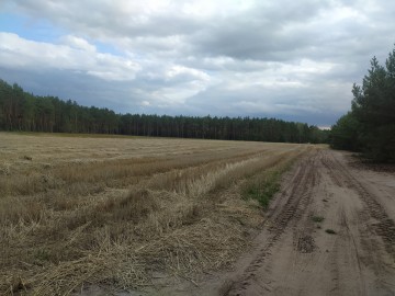 Działka, Działki budowlane gm. Rzg&oacute;w J&oacute;zefowo, Konin