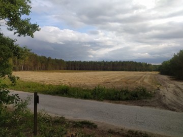 Działka, Działki budowlane gm. Rzg&oacute;w J&oacute;zefowo, Konin