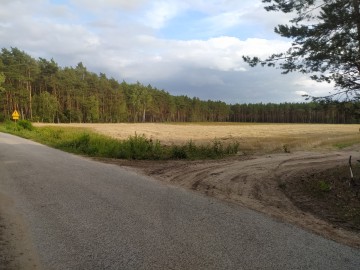 Działka, Działki budowlane gm. Rzg&oacute;w J&oacute;zefowo, Konin