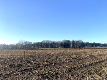 Działki budowlane na sprzedaż Powiercie k. KOŁA