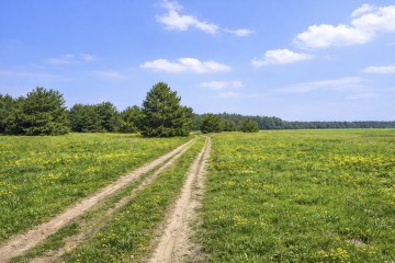 Działki budowlane na sprzedaż Budki Stare gm Osiek Mały