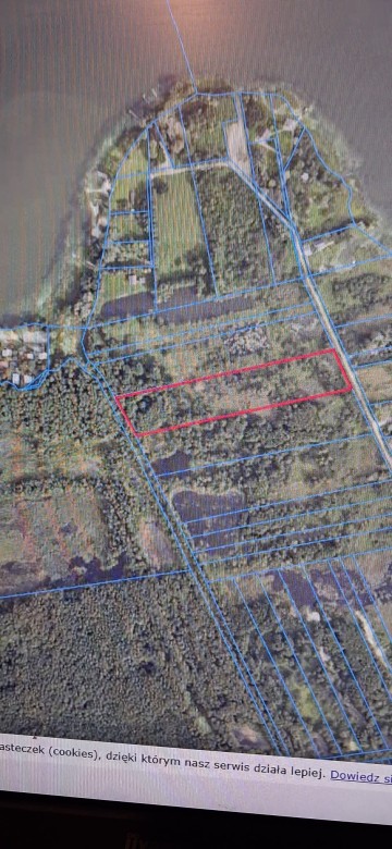 Łąka na sprzedaż Konin-Gosławice