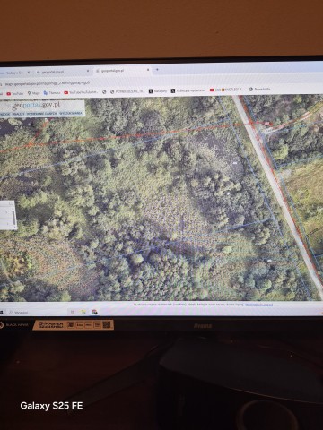 Łąka na sprzedaż Konin-Gosławice