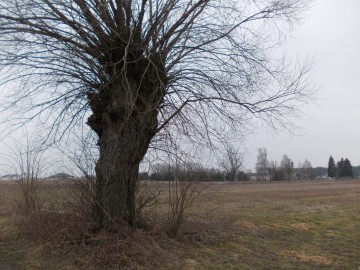 Działka budowlana z War. Zabudowy Krągola gm. Stare Miasto