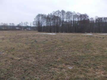 Działki budowlane z Warun. Zabudowy Krągola gm. Stare Miasto