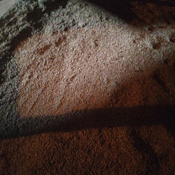 Sprzedam żyto i pszenżyto