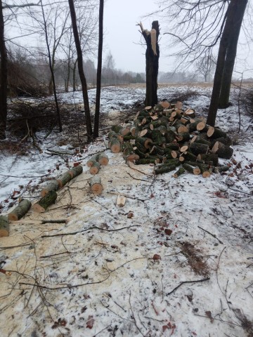 Sprzedam drewno opałowe wierzbowe wałki