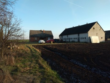 Gospodarstwo rolne Jabłk&oacute;w gmina Kramsk 5.74 ha