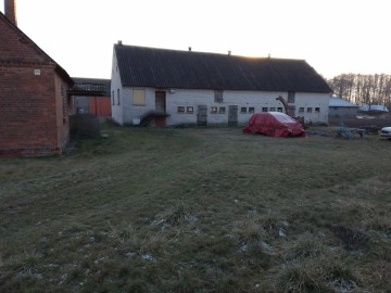 Gospodarstwo rolne Jabłk&oacute;w gmina Kramsk 5.74 ha