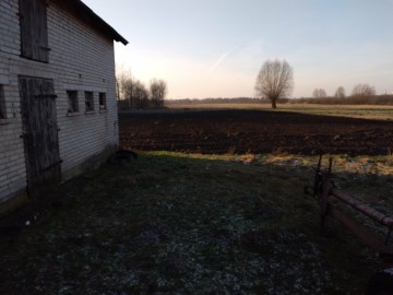 Gospodarstwo rolne Jabłk&oacute;w gmina Kramsk 5.74 ha