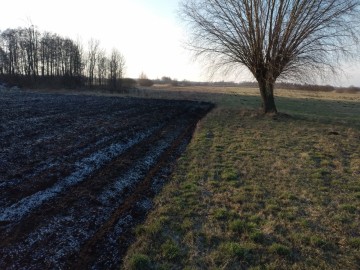 Gospodarstwo rolne Jabłk&oacute;w gmina Kramsk 5.74 ha