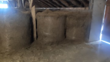 Siano / sianokiszonka / słoma w belach 125cm