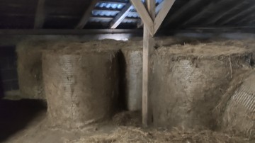 Siano / sianokiszonka / słoma w belach 125cm