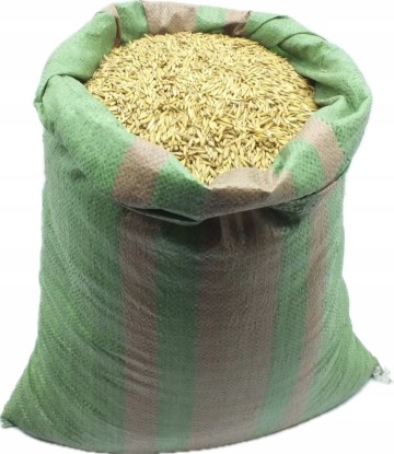 Sprzedam Owies Bingo