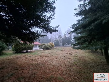 Na sprzedaż działka 13,14 a z domkiem letniskowym-Zygmuntowo