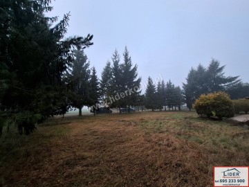 Na sprzedaż działka 13,14 a z domkiem letniskowym-Zygmuntowo