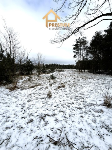 Wyjątkowa enklawa 4,94ha działka budowlana z lasem.