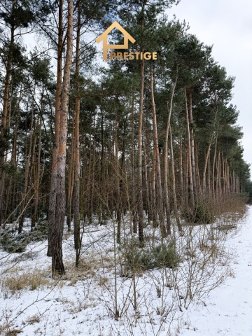 Wyjątkowa enklawa 4,94ha działka budowlana z lasem.