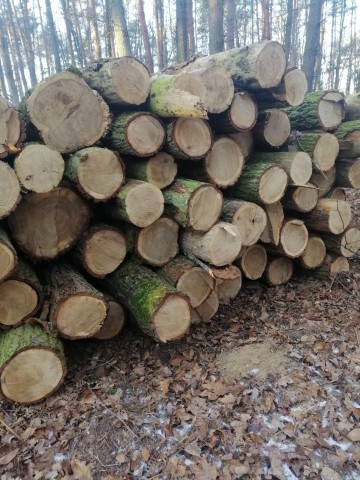 Wałki dębowe oraz sosnowe! Możliwy transport!