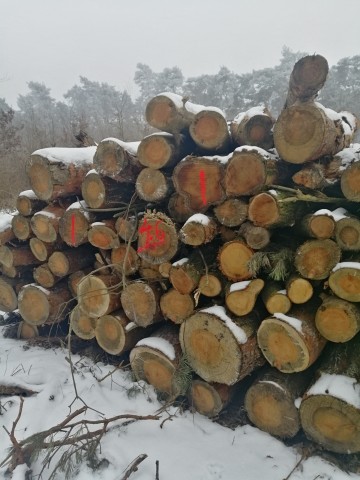 Wałki dębowe oraz sosnowe! Możliwy transport!