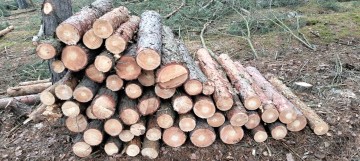 Drewno na opał.