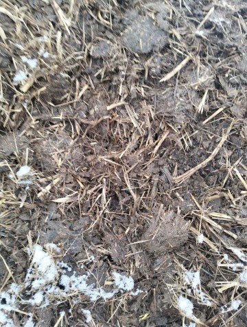 Sprzedam/Zamienię obornik koński