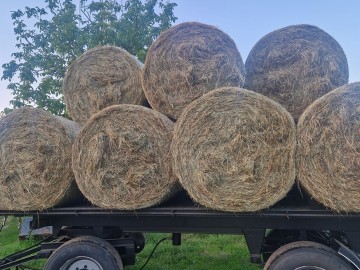 Sprzedam siano