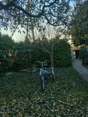 SPRZEDAM ROWER TRZKOŁOWY PFU - TEC