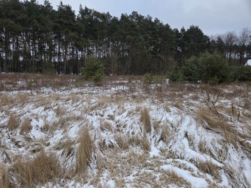 Działka Budowlana Żdżary 10 ar Ul.Jeżynowa